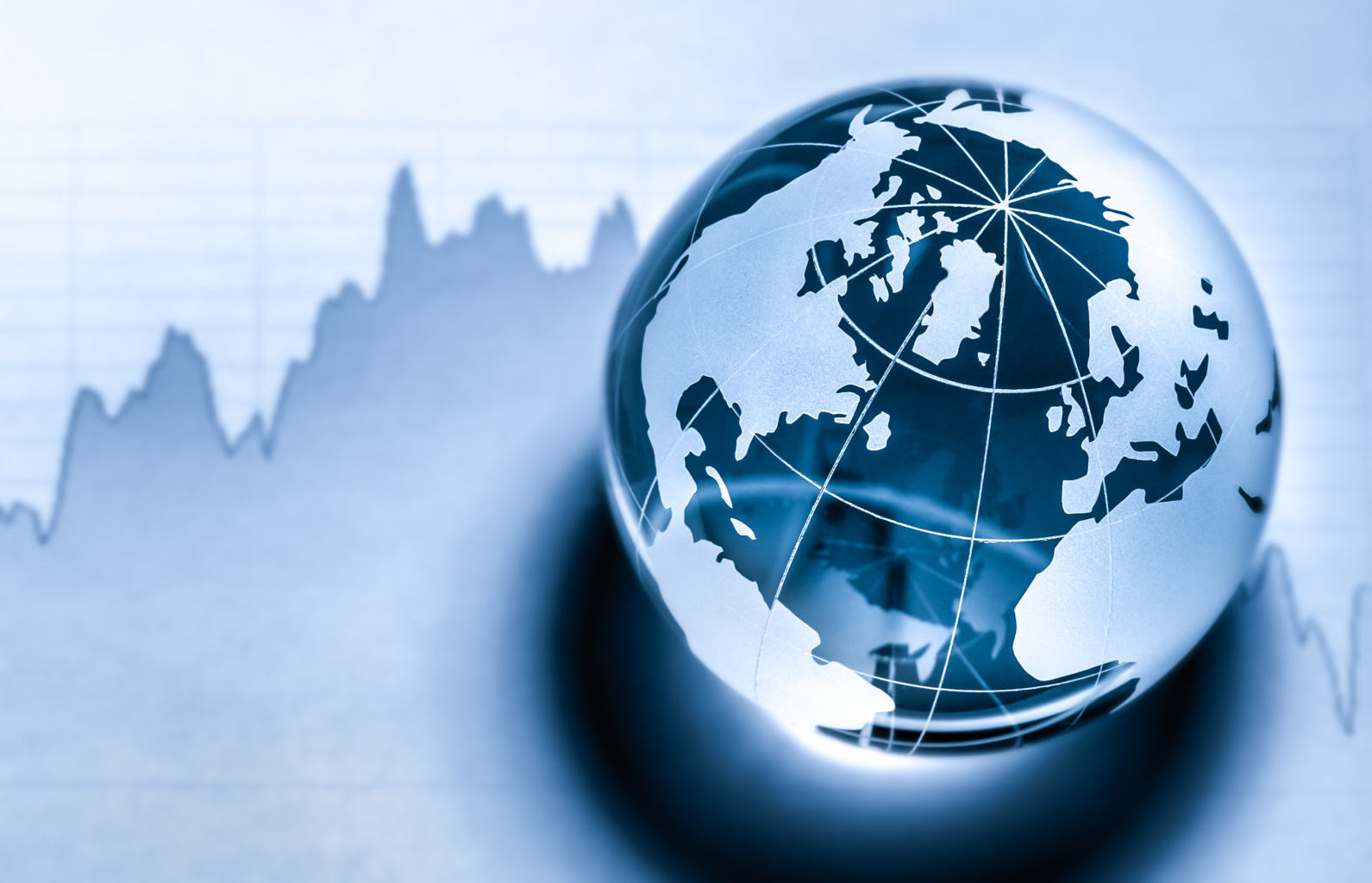The World Investable Portfolio