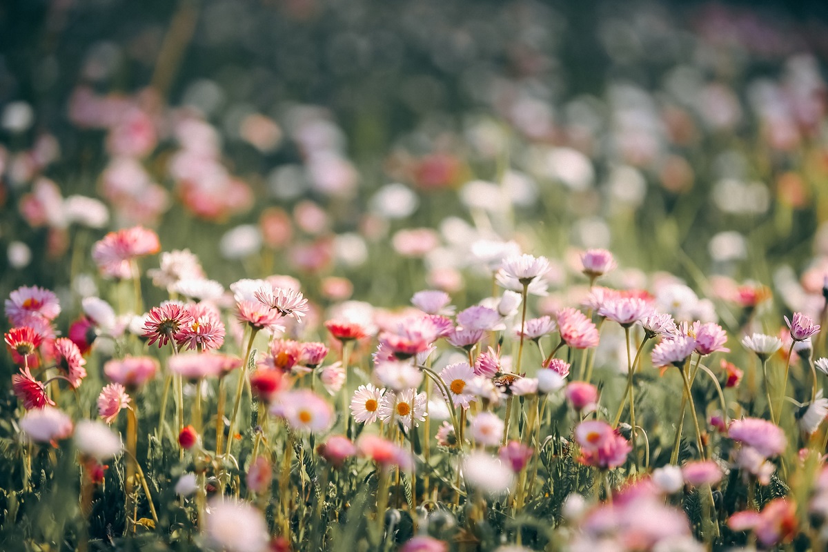 The Beauty of a Mother's Enduring Legacy