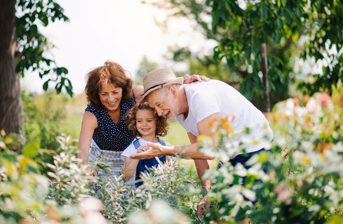 Finding Fulfillment in Retirement
