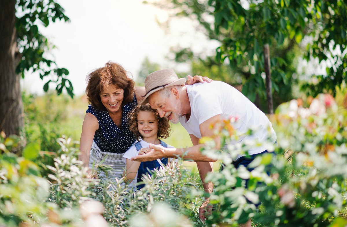 Finding Fulfillment in Retirement