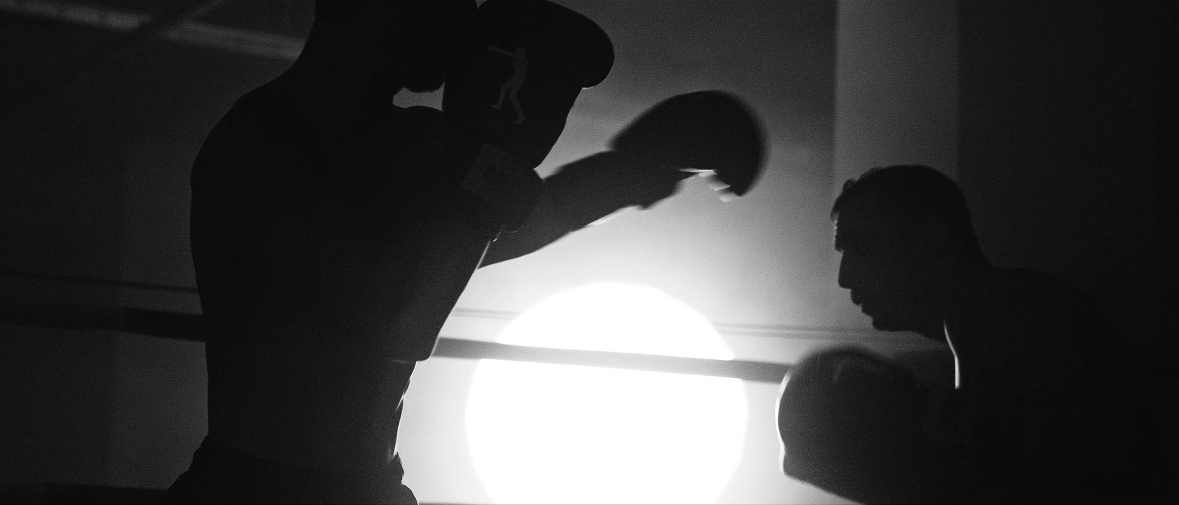 Silhouettes of two boxers sparring in a ring with a bright light behind them.