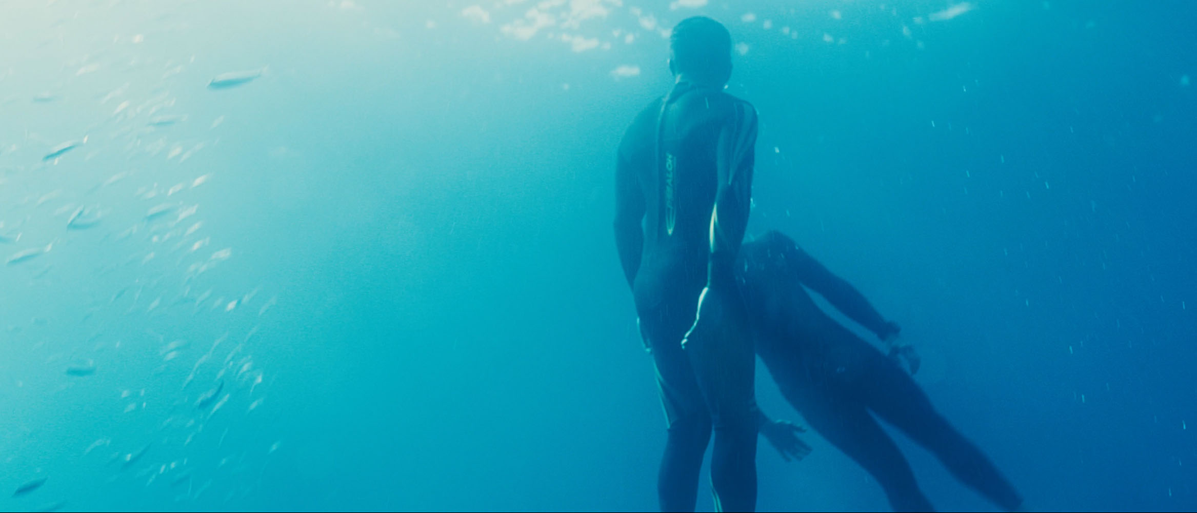 Two divers in wetsuits underwater surrounded by small fish in blue ocean water.