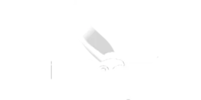 Logo of a stylized eagle with the words Eagle Academy in bold orange and black text.