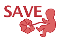 SAVE-studien, Karlstads universitet