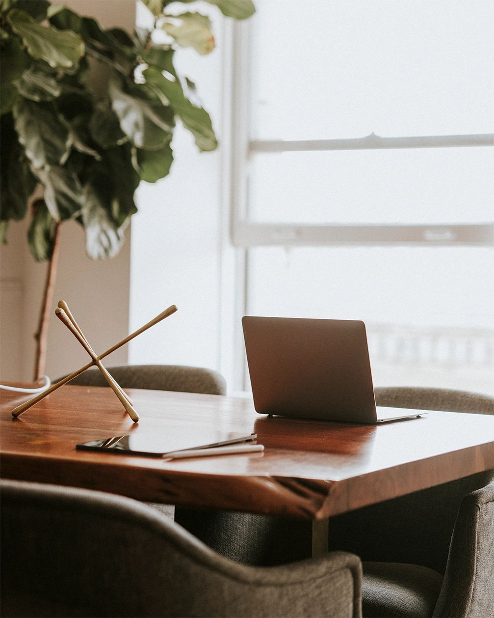 Moderner Holztisch mit Laptop, Tablet und Stift in einem hellen Raum mit einer großen Pflanze und Fenster im Hintergrund.