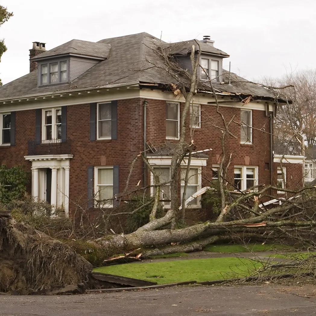 Brick house with a large fallen tree uprooted and leaning against the front and side, causing damage to the roof.