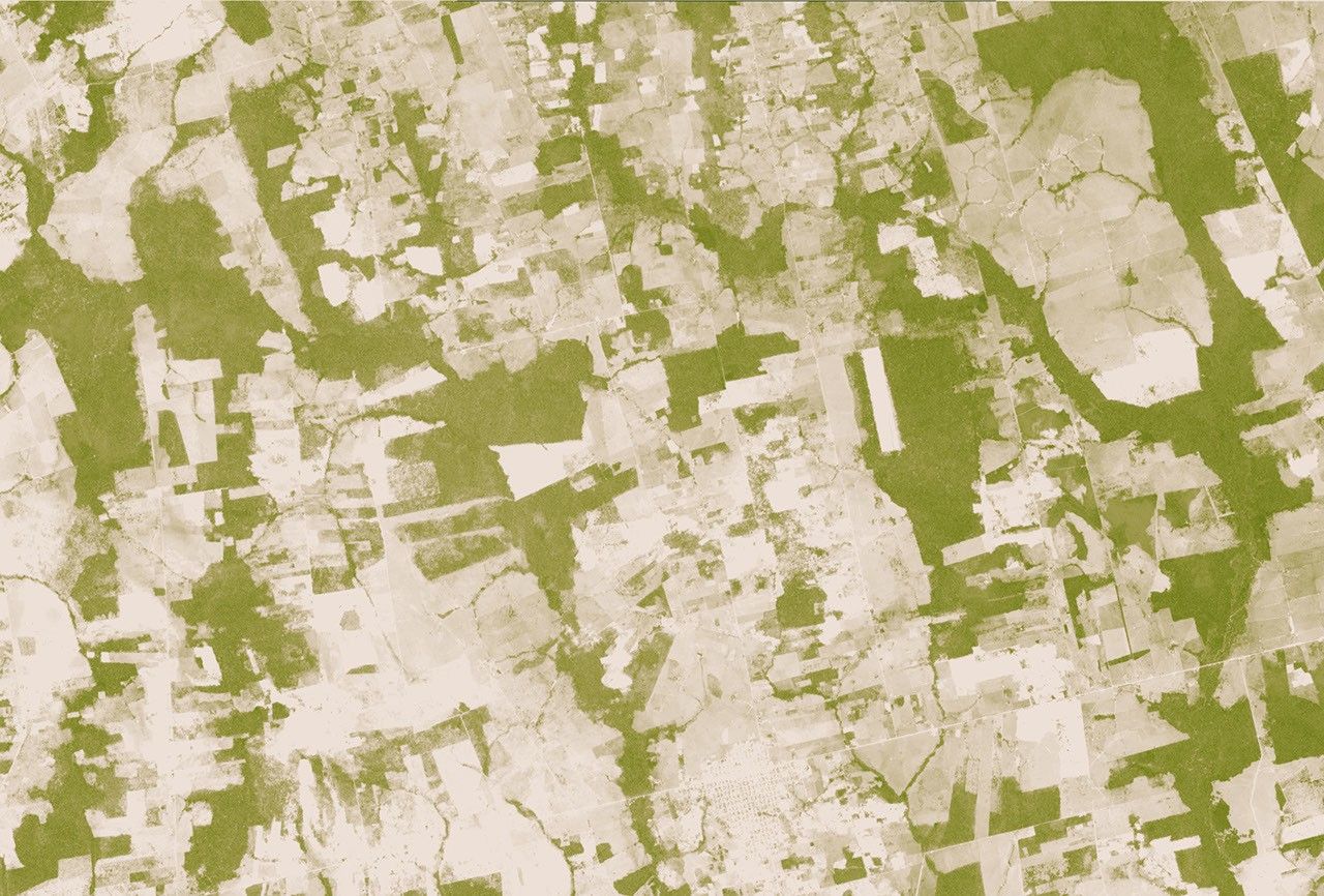 Crackdown lets rainforest reclaim illegal road in rare win for the Amazon