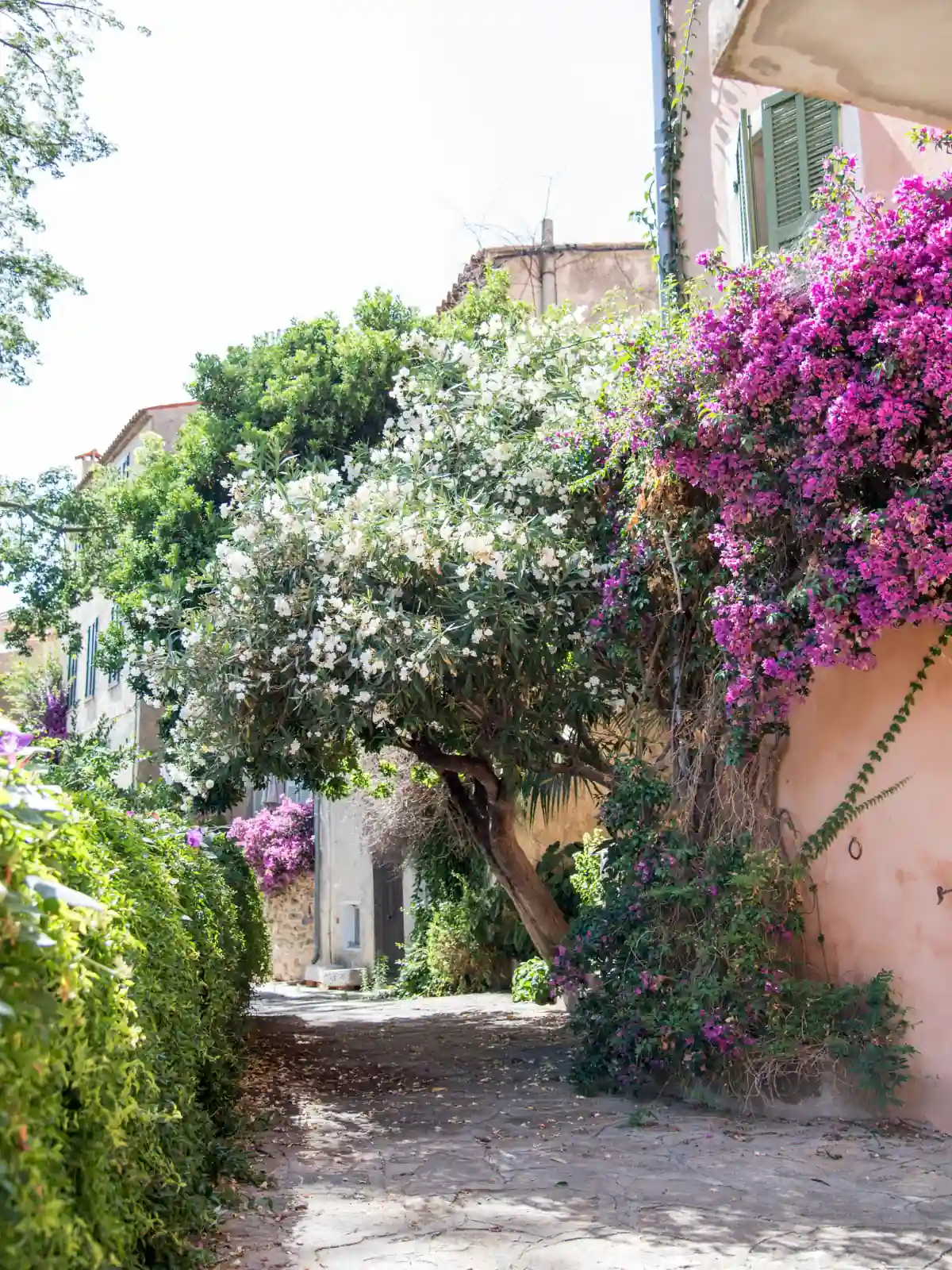 flowers surrounding provence stone and brick home