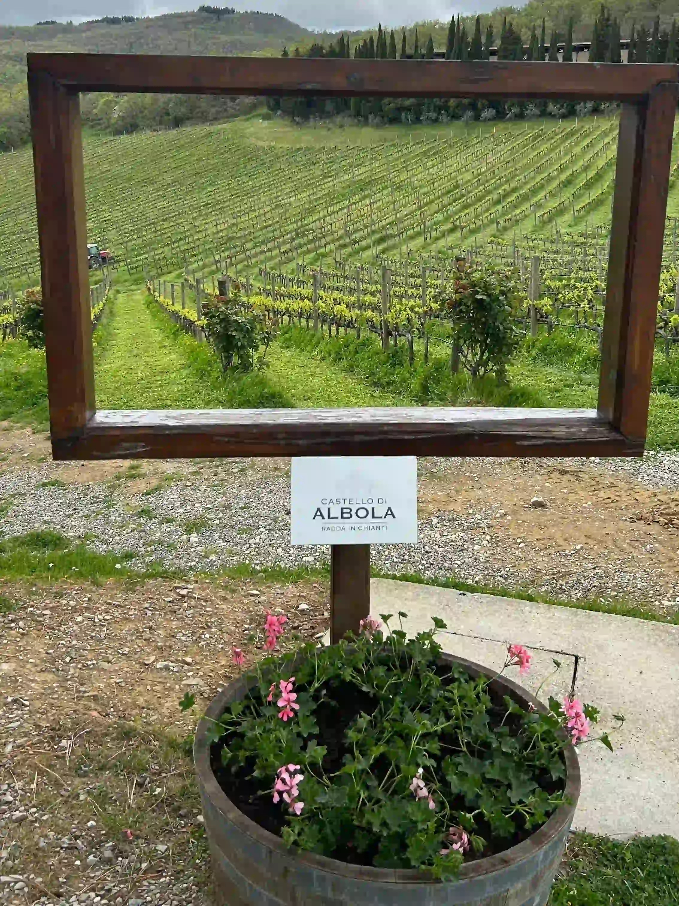 tuscan vineyard 