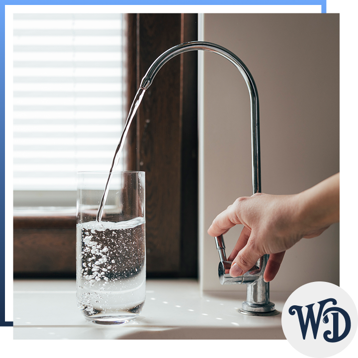 Dallas Water Doctor technician