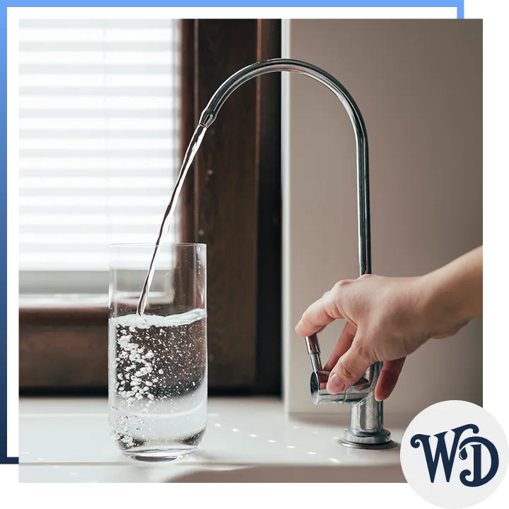 Dallas Water Doctor technician