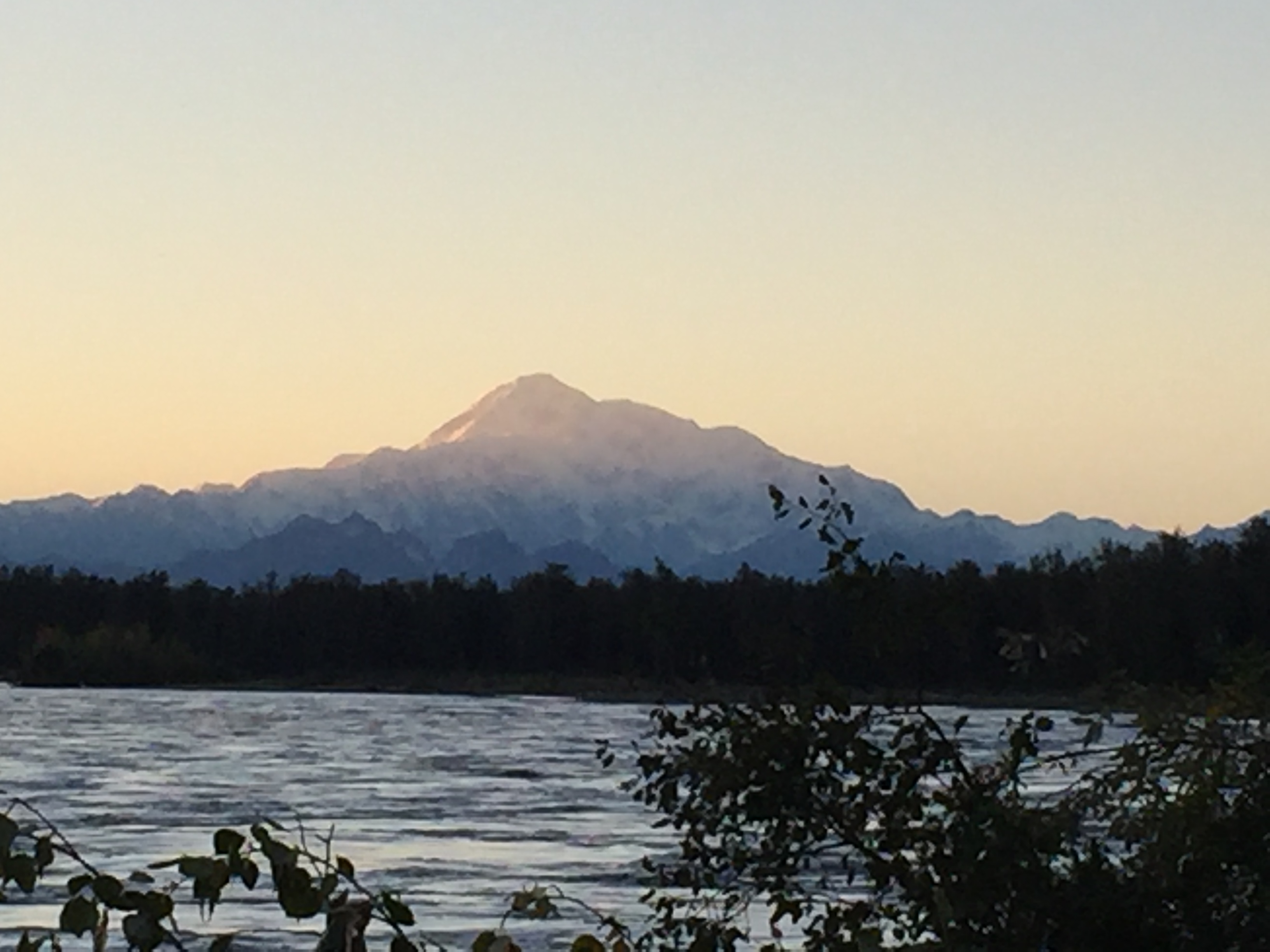 background image of weights for a gym