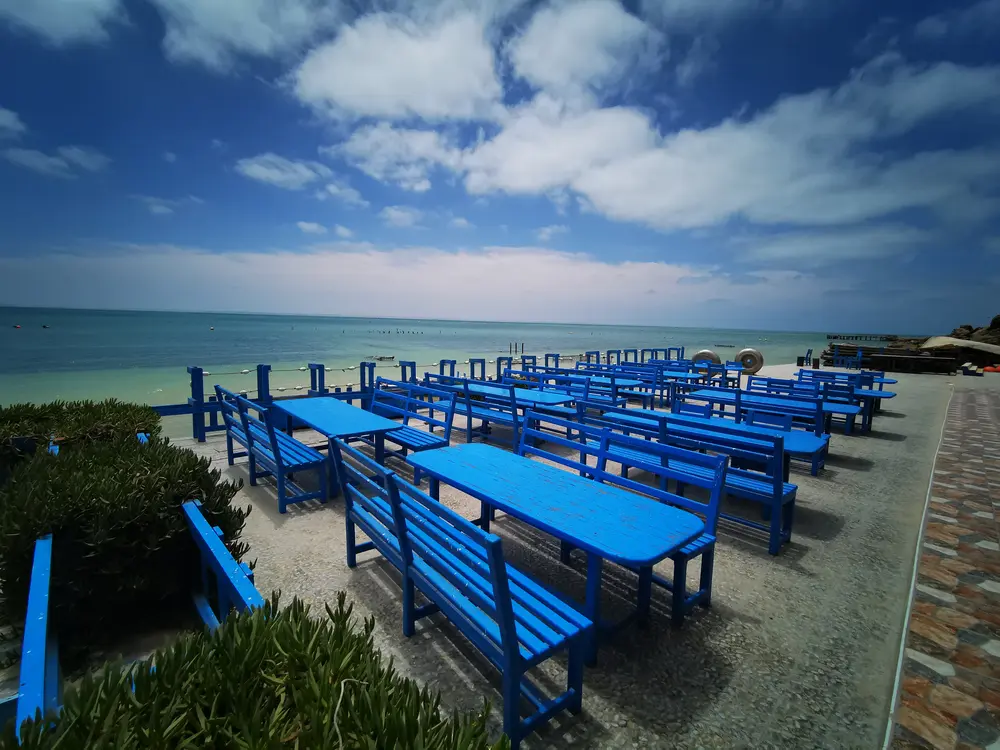 Rows of blue wooden tables and benches on a paved terrace beside the shallow Dakhla lagoon