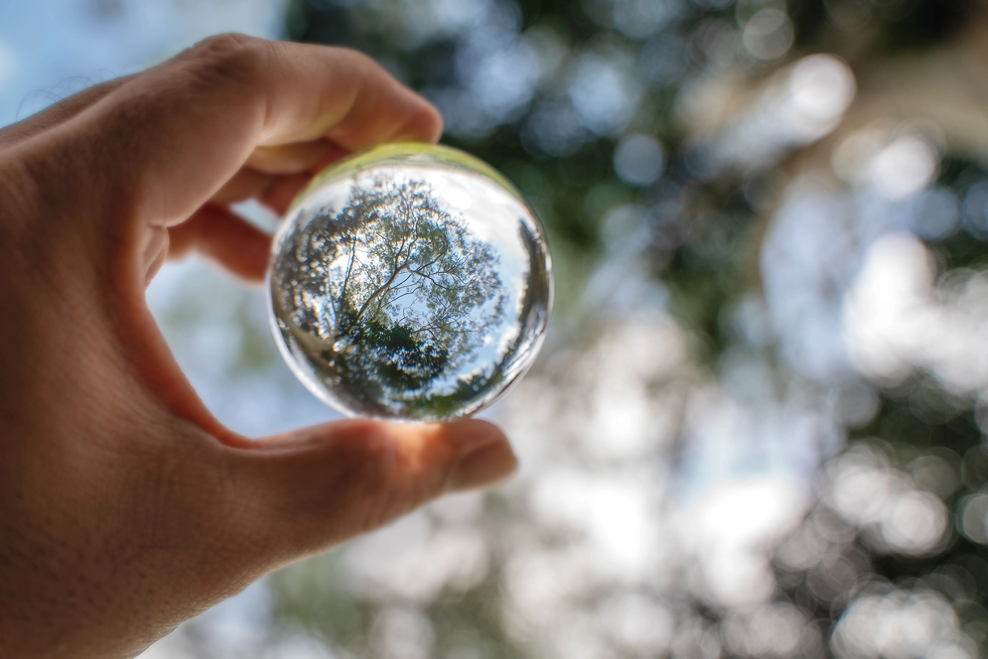 Image of a hand holding a glass ball with green trees and a blurred background.