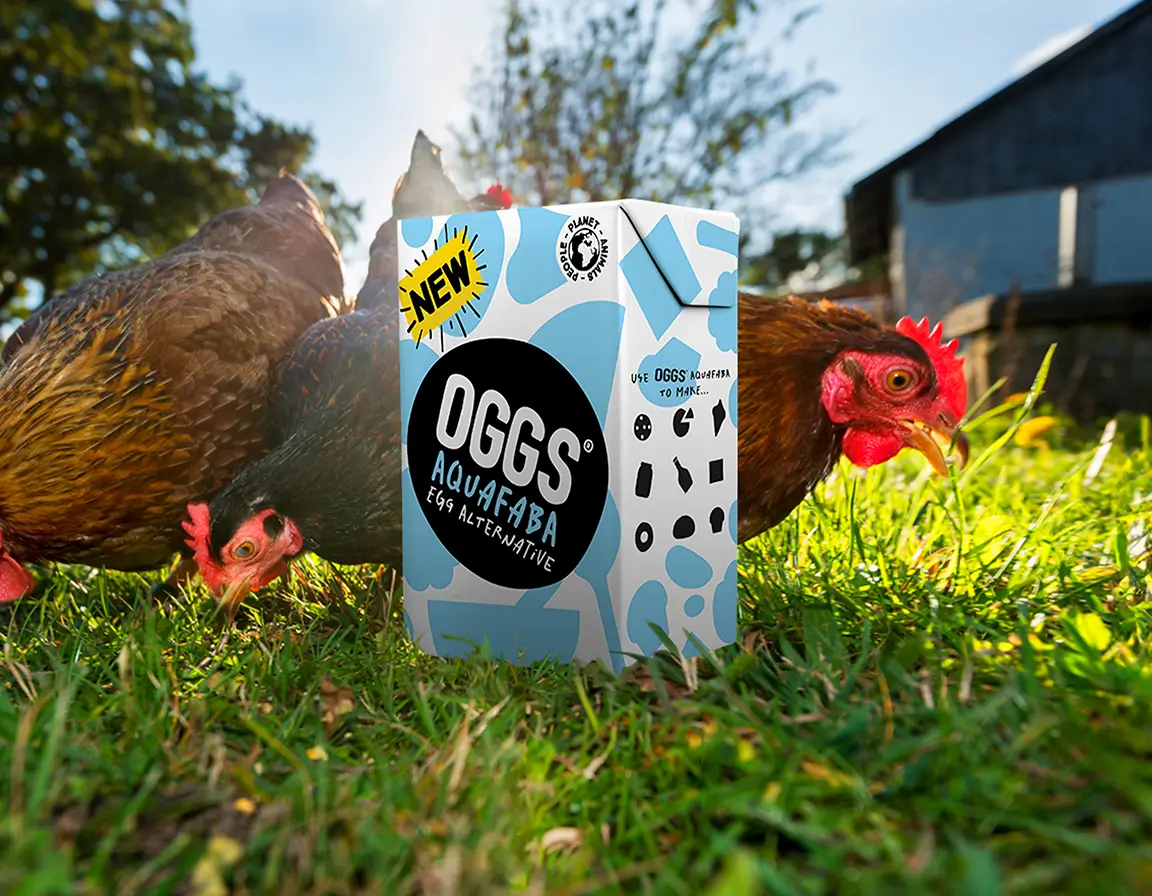 Carton of Oggs Aquafaba egg alternative placed on grass with chickens pecking nearby in a sunny outdoor setting.