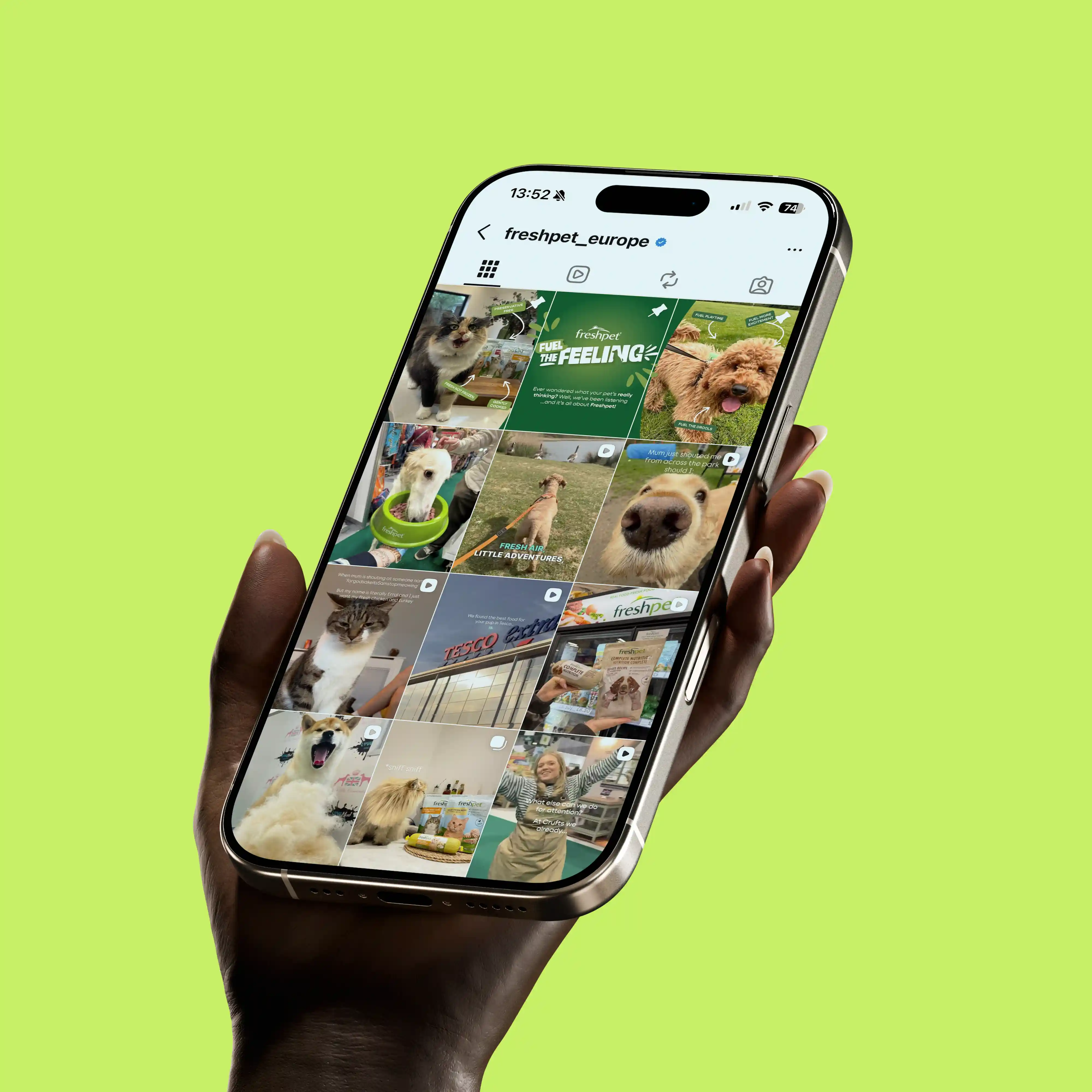 Hand holding smartphone displaying freshpet_europe Instagram profile with pet photos.