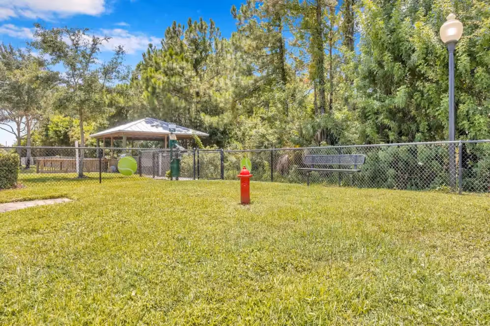 Bark park, outdoor grassy area for dogs