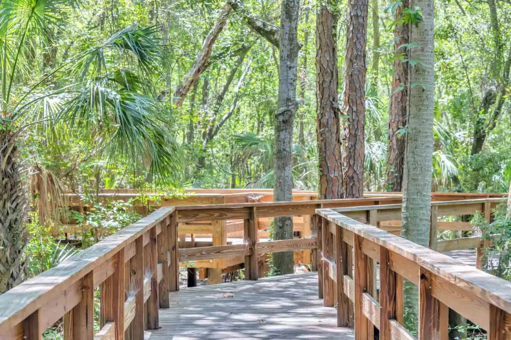 Nature trail with bridge and greenery