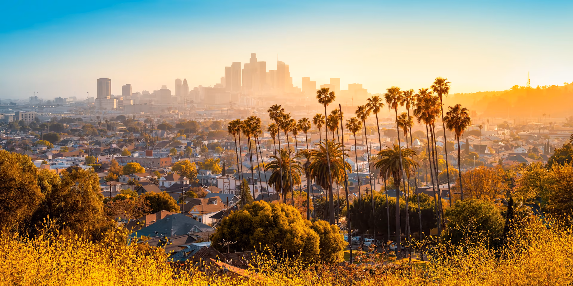 Las Angeles
