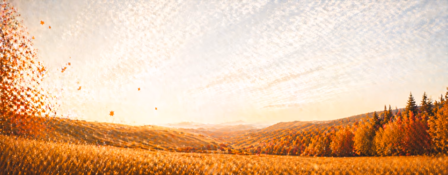 banner image