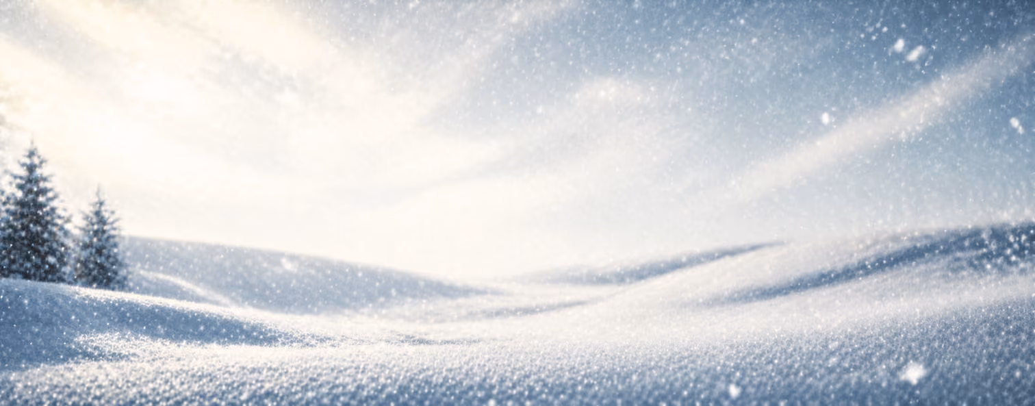 banner image