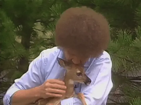 Man with curly hair wearing a white shirt gently holding and kissing a small deer in a wooded area.