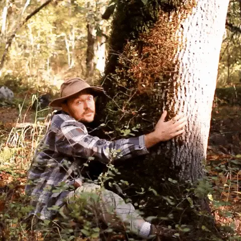 Man in a hat and plaid shirt hugging a large tree trunk in a sunlit forest.