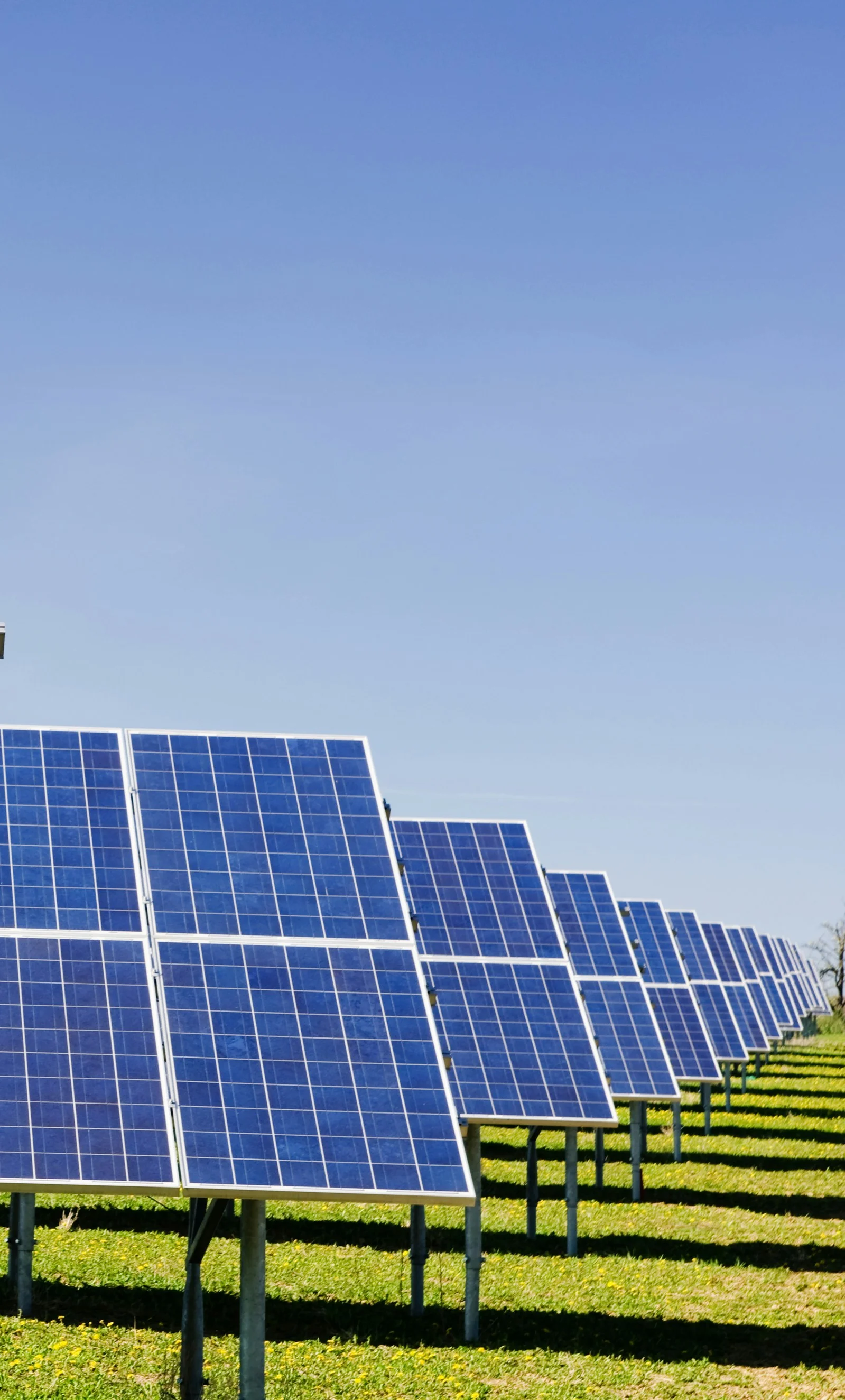 Row of solar panels installed on green grass under a clear blue sky.