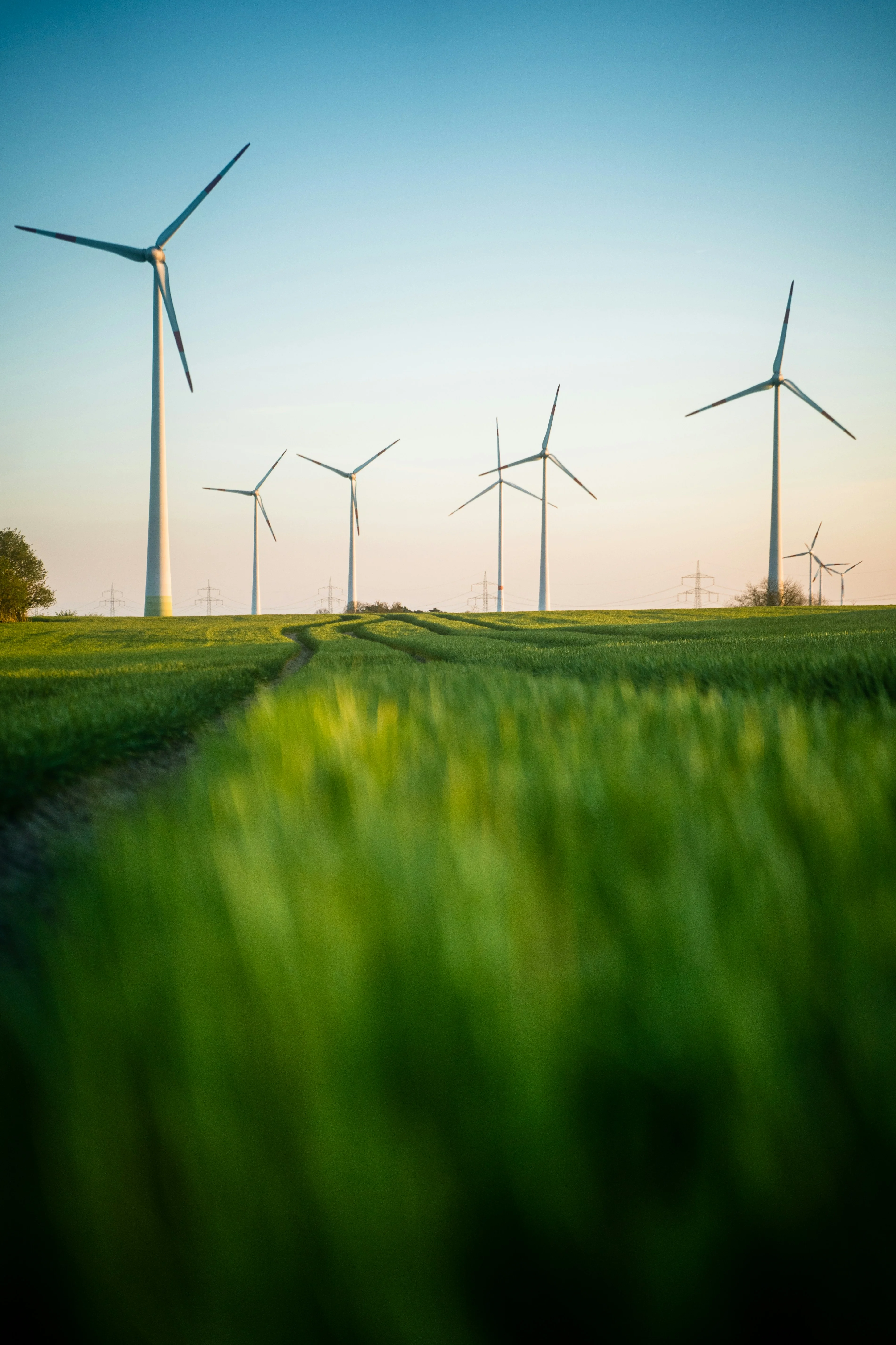 Wind turbines standing in a green field under a clear sky at sunset.