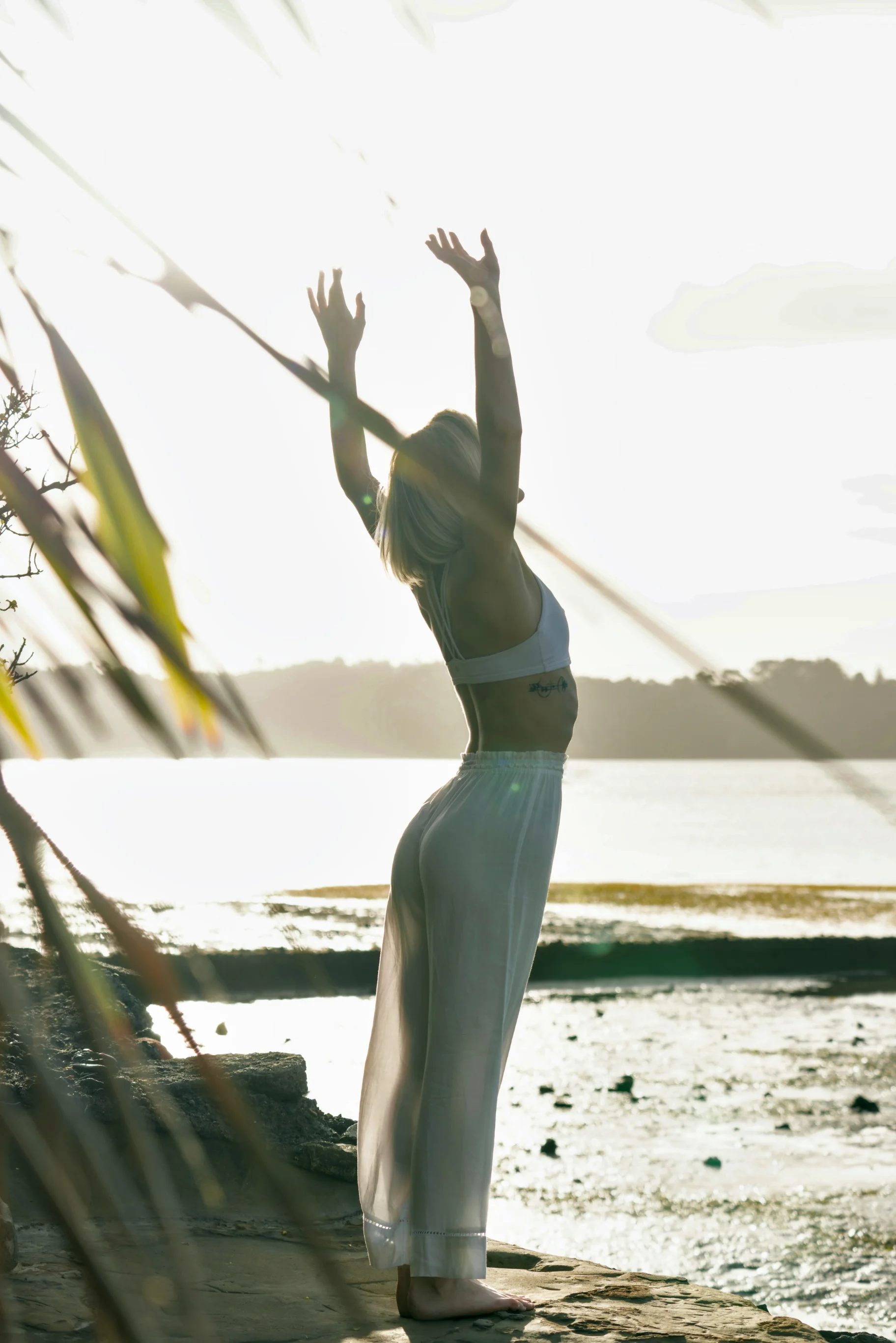 Person stretching with arms raised by the water at sunset, standing on a rocky shore with plants in the foreground.