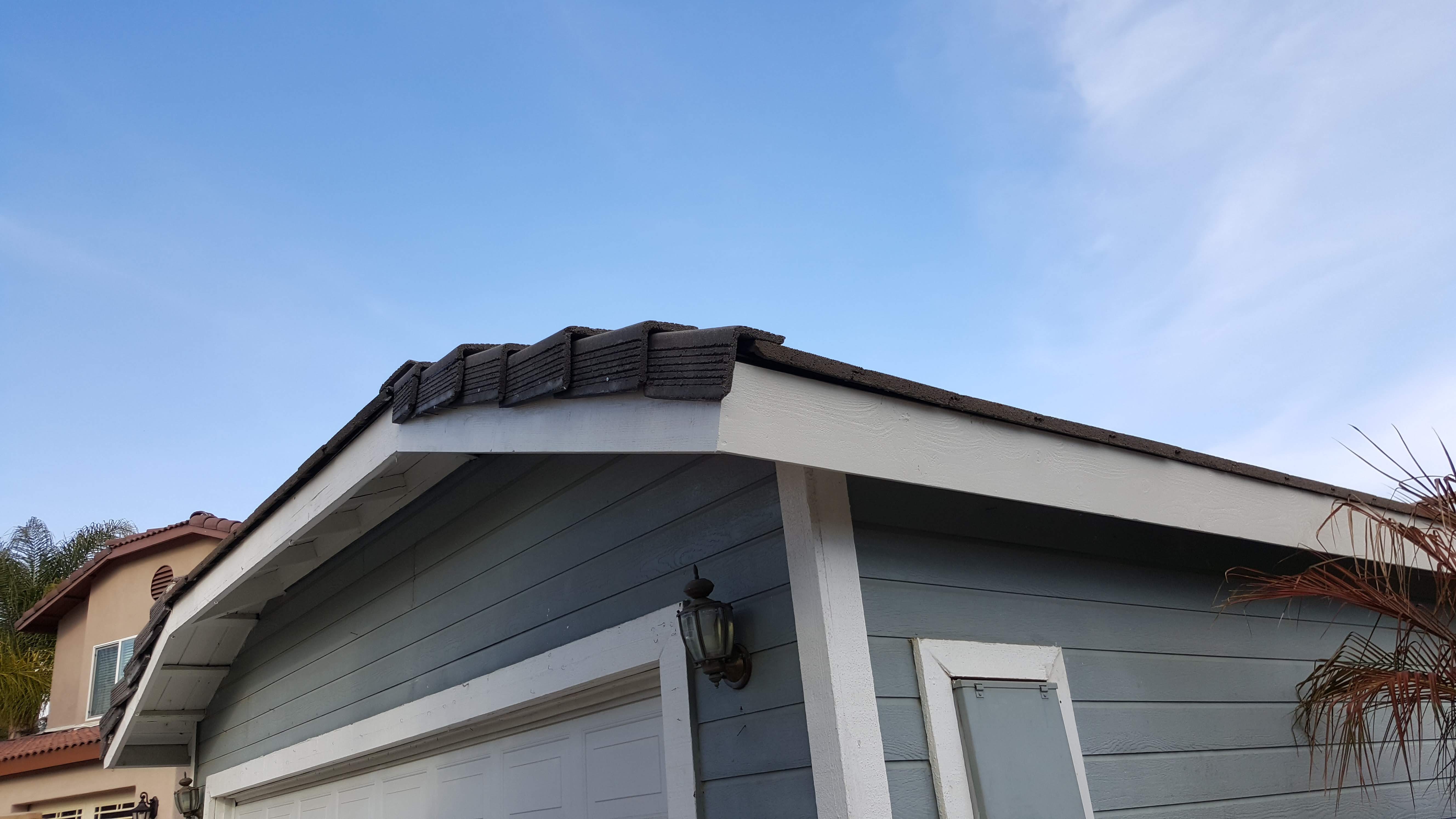Repaired and painted fascia board after Pro Kill service