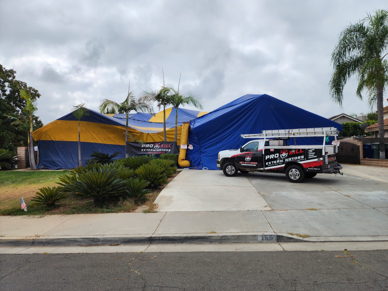 Pro Kill fumigation tent and service truck at a Riverside home