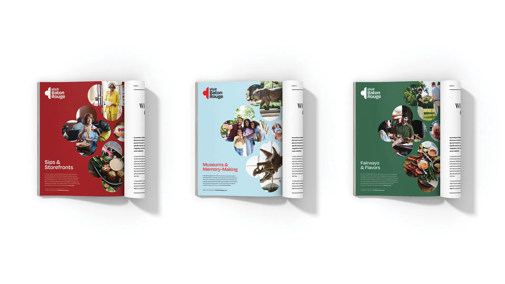 Three folded brochures in red, blue and green standing open in a row