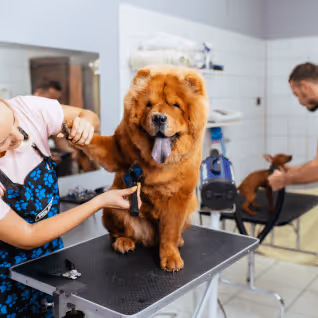 pet grooming business owner