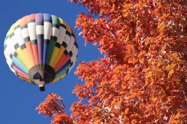 Colorful hot air balloon flying near a tree with vibrant red autumn leaves against a clear blue sky.