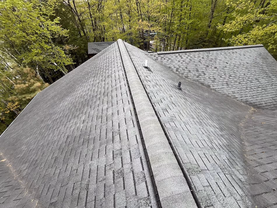 Gray shingled pitched roof surrounded by green leafy trees.