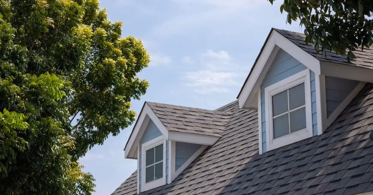 Hail damage on asphalt roof shingles showing impact marks and surface wear