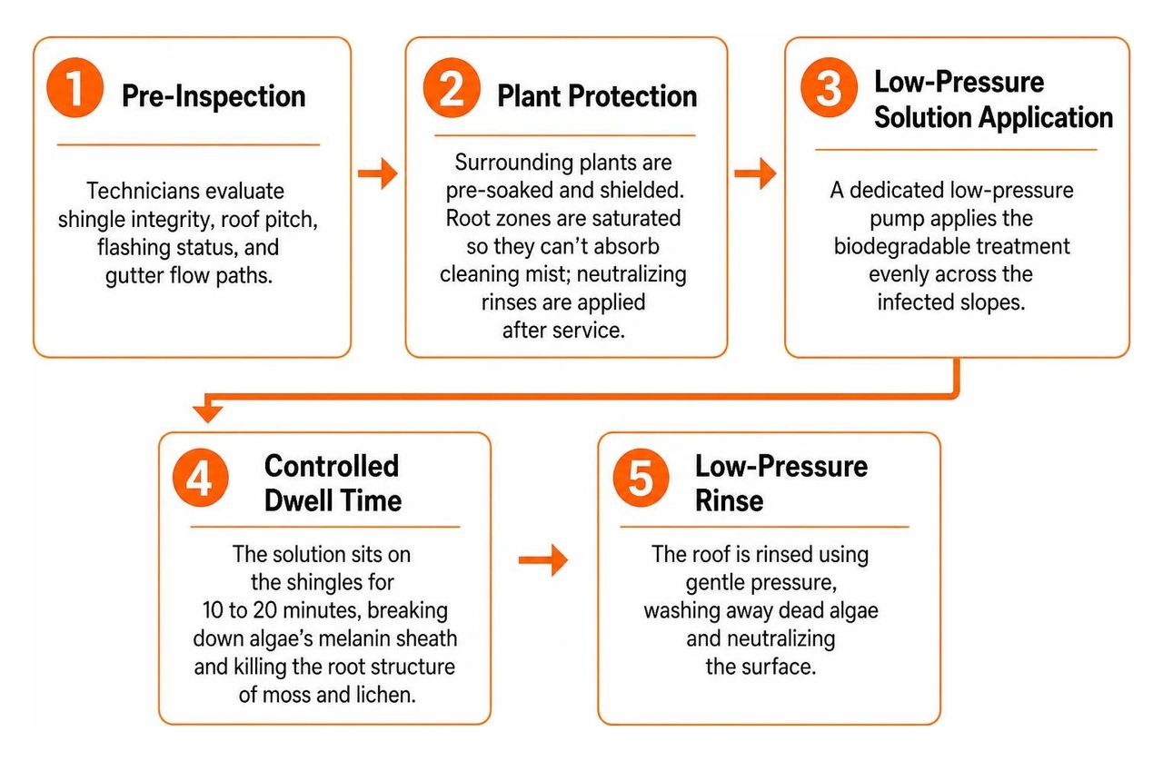Step-by-step professional soft washing process for residential roofs