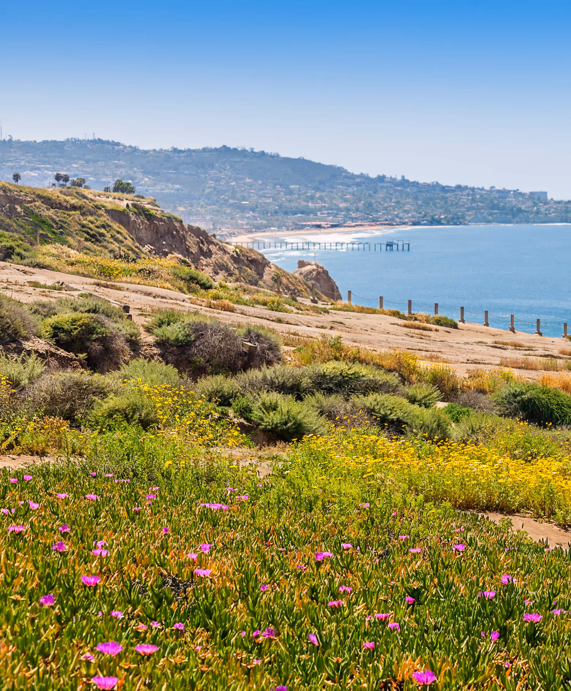 Coastal cliffs with wildflowers in the foreground and a pier extending into the ocean under a clear blue sky.