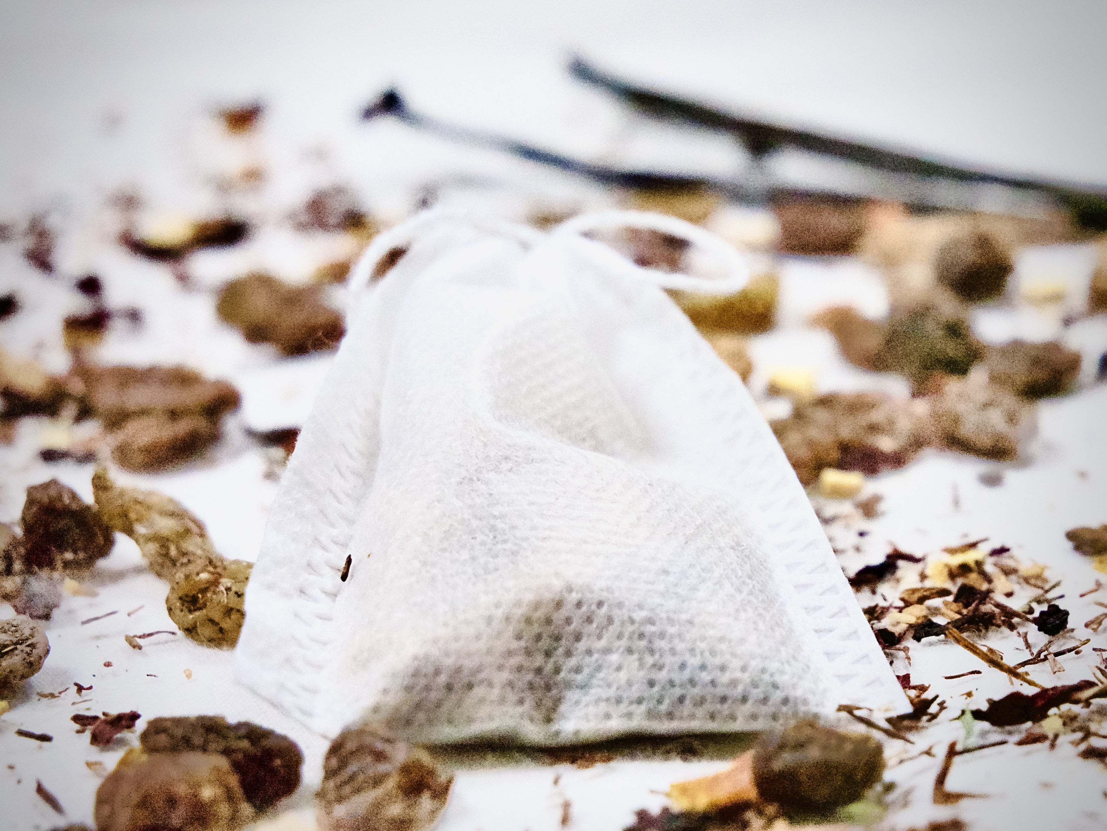 LA MAGIE DE NOEL - Infusion gourmande – infusion Feuillages du Monde