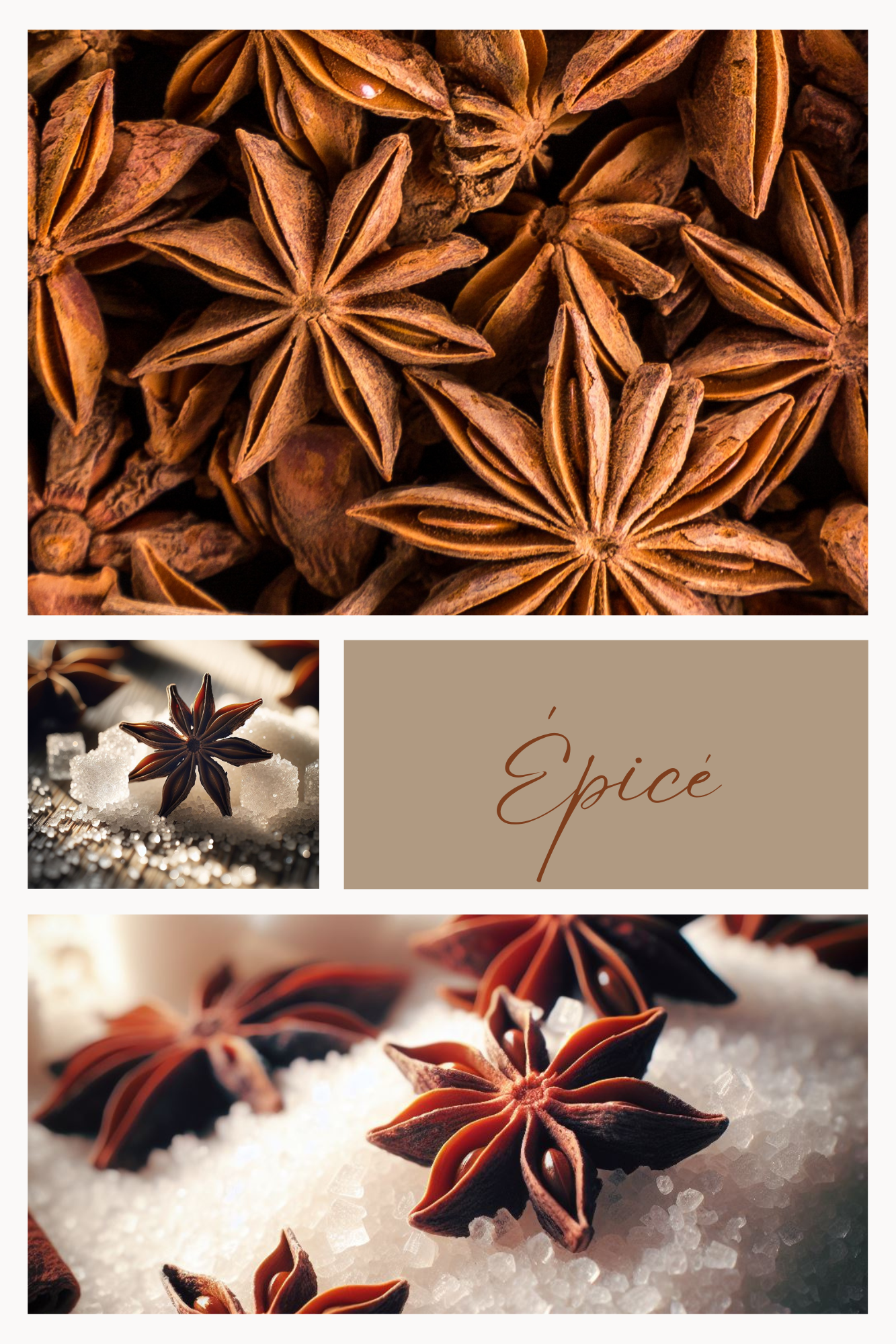 SUCRE ÉPICÉ Anis étoilé – sucre Feuillages du Monde