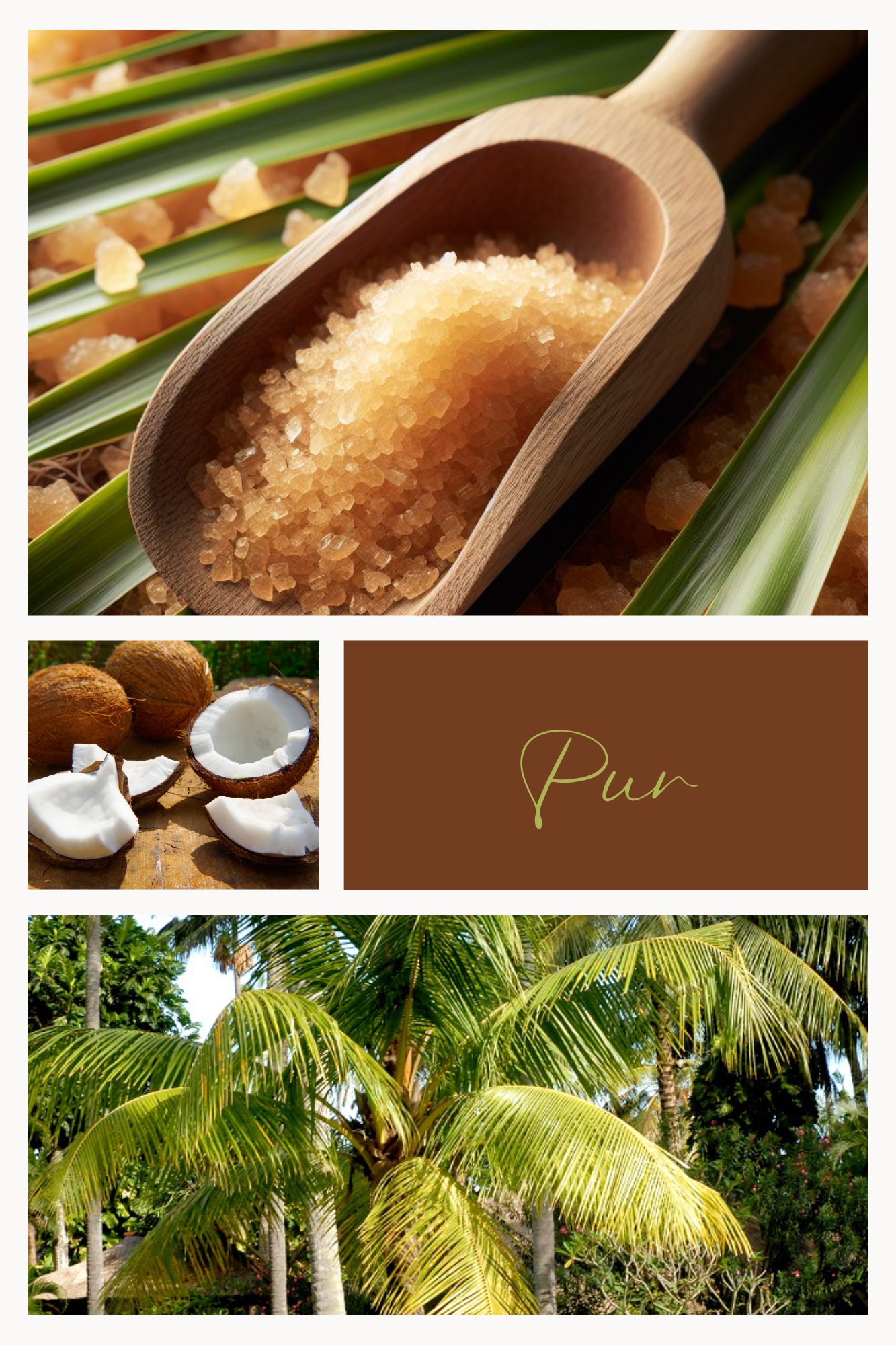SUCRE PUR - Fleur de coco – sucre Feuillages du Monde