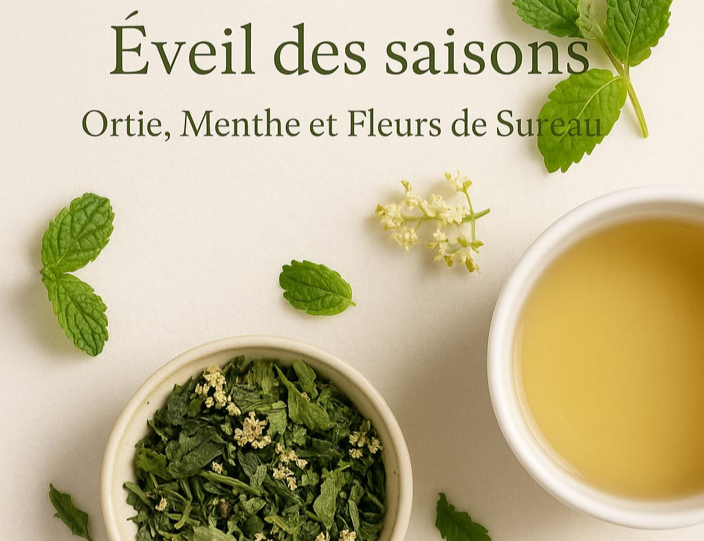 ÉVEIL DES SAISONS – infusion Feuillages du Monde