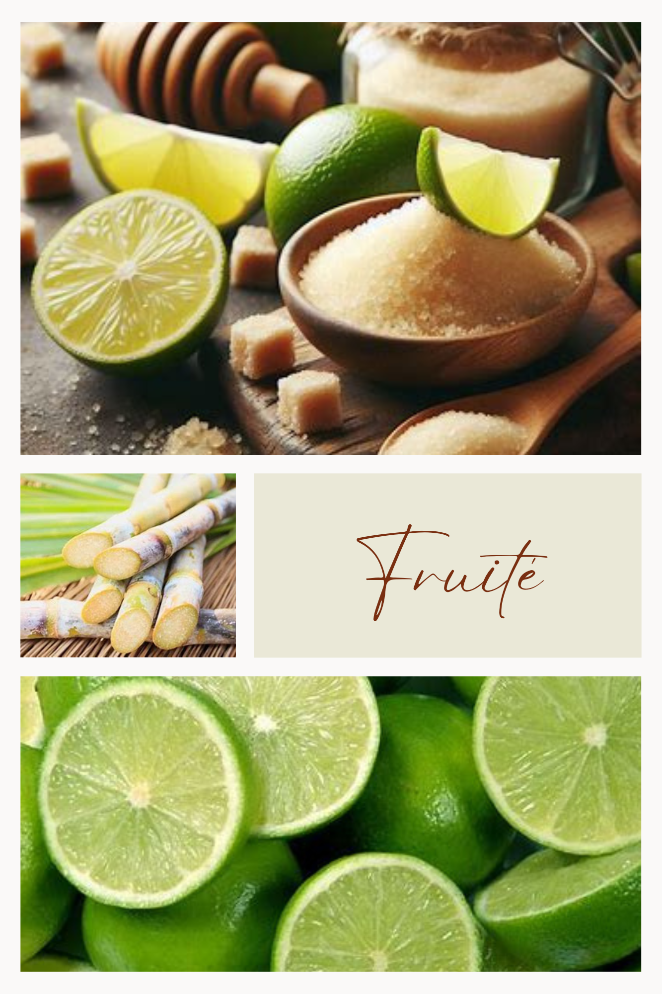 SUCRE FRUITÉ Citron vert – sucre Feuillages du Monde