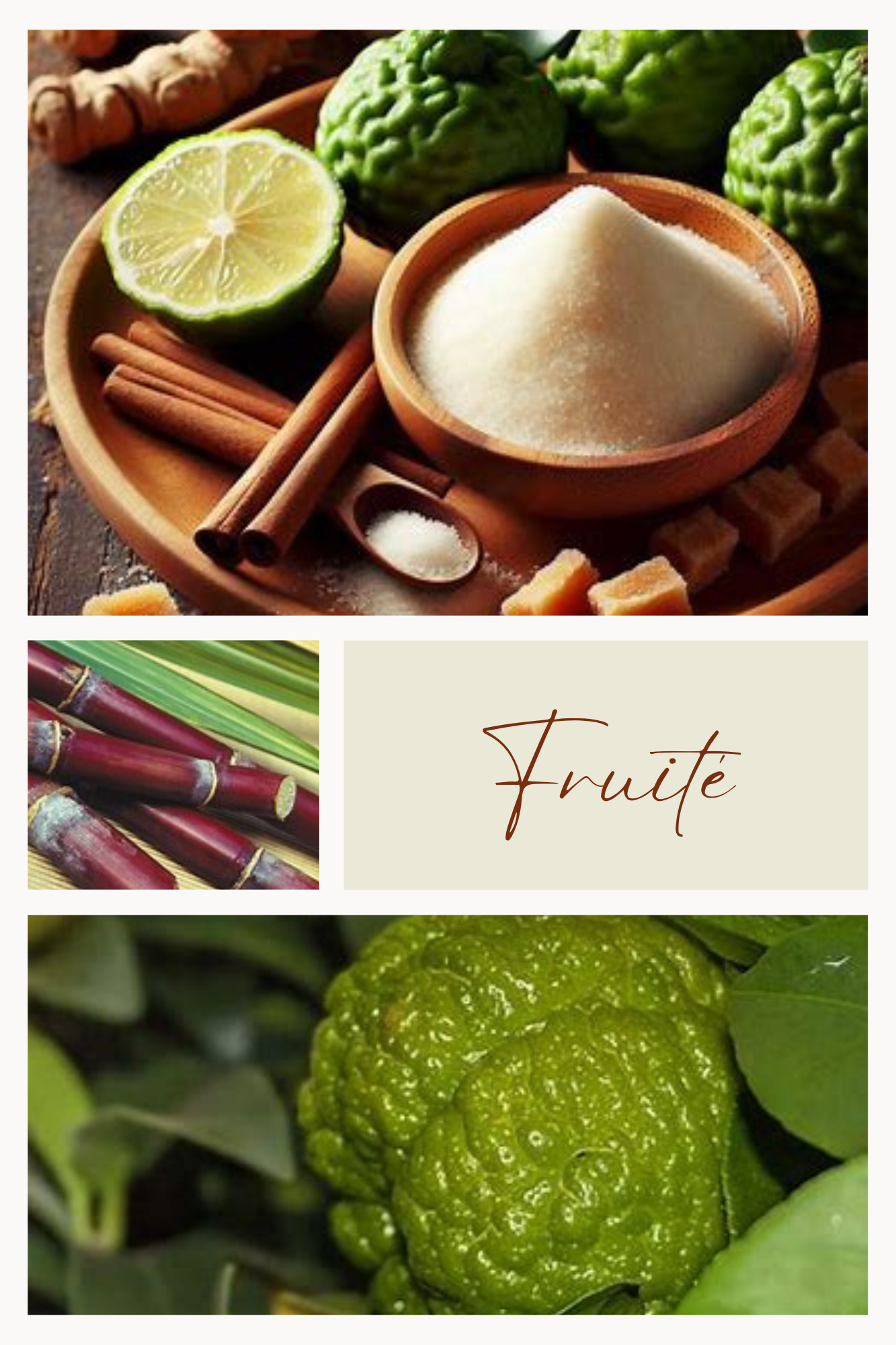 SUCRE FRUITÉ Citron combawa – sucre Feuillages du Monde
