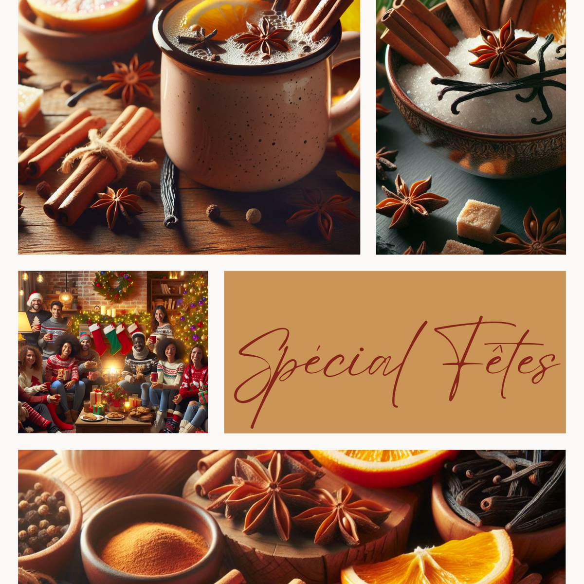 ROOIBOS EPICE DE NOEL - Infusion gourmande – infusion Feuillages du Monde