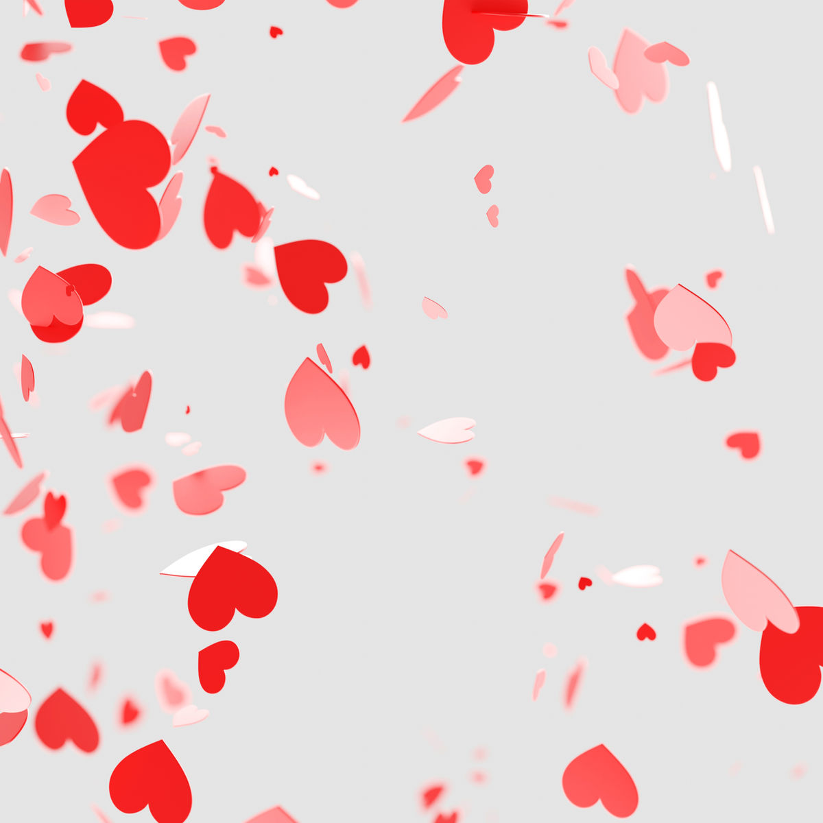 BOX "Saint Valentin" – coffret cadeau Feuillages du Monde