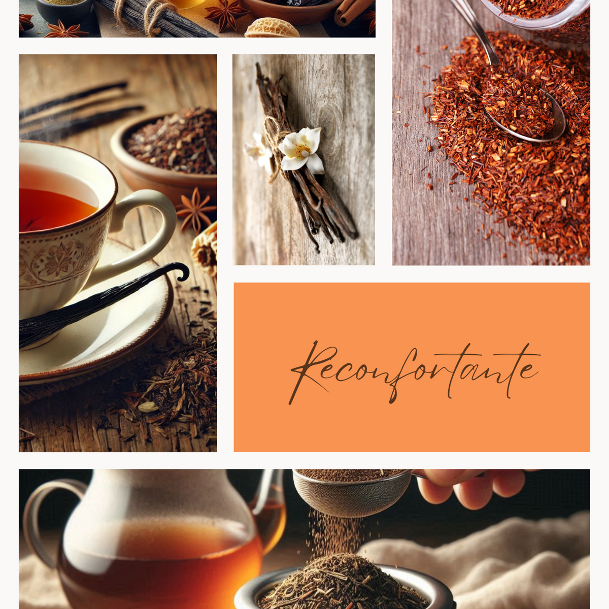 ROOIBOS GOURMAND - Vanille bourbon des îles & datte orientale – infusion Feuillages du Monde