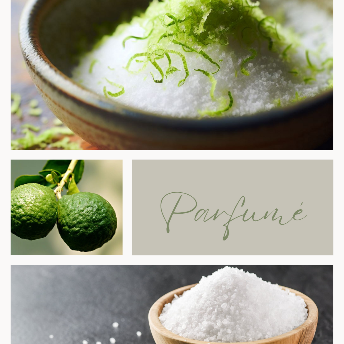 SEL PARFUMÉ Citronné combawa – épice Feuillages du Monde