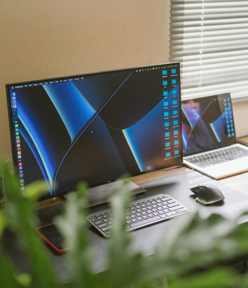 Portfolio Image